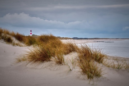 Picture of WINTER AT THE NORTH SEA