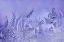 Picture of A GARDEN OF FROST