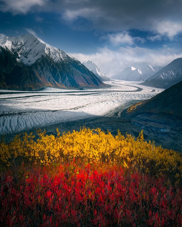 Picture of AK GLACIER