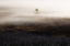 Picture of C?ANDSUP1;A?YAAAE??E??/SPECIAL TIME