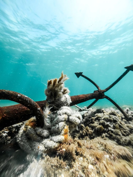 Picture of DETAILS OF ANCHOR UNDERWATER