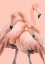 Picture of FLAMINGOS NR. 1
