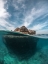 Picture of FLOATING ISLAND