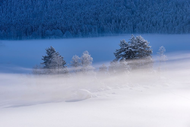 Picture of FROZEN LAKE