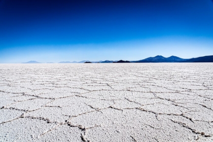 Picture of IN THE SALT FLAT