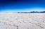 Picture of IN THE SALT FLAT