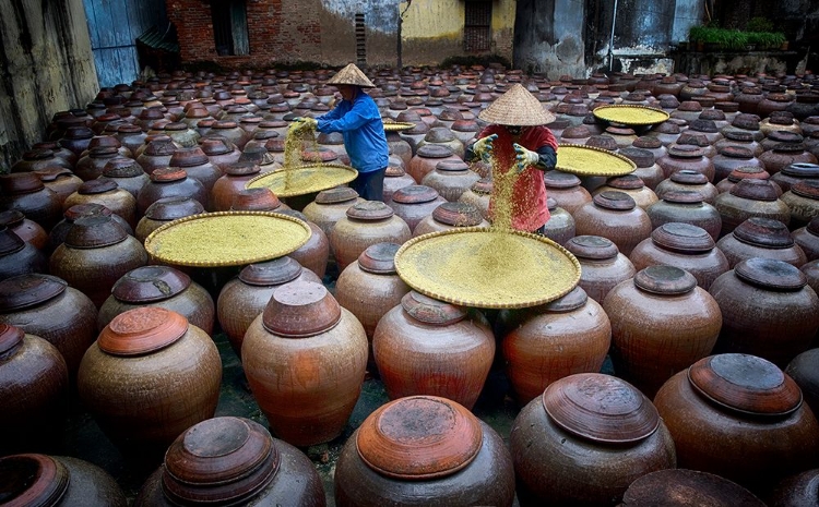 Picture of MAKING SOYA BEAN PASTE 2