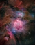 Picture of ORION