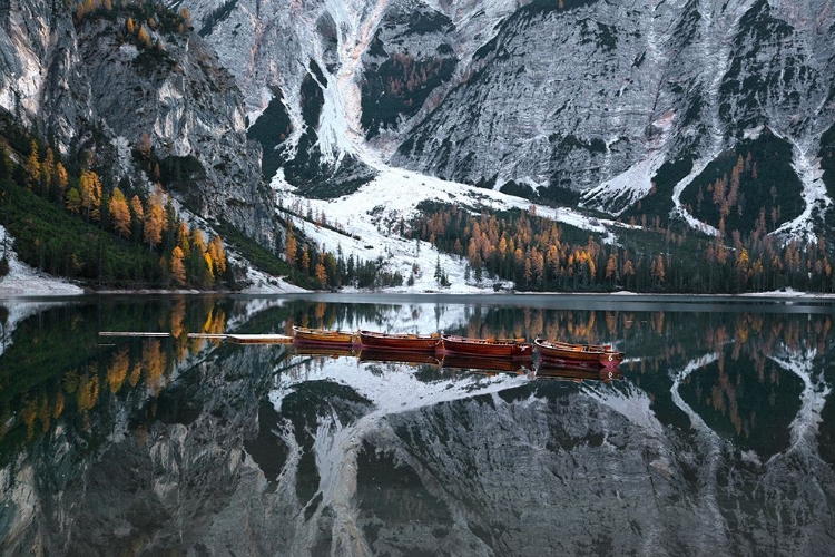 Picture of REFLECTION II - PRAGSER WILDSEE