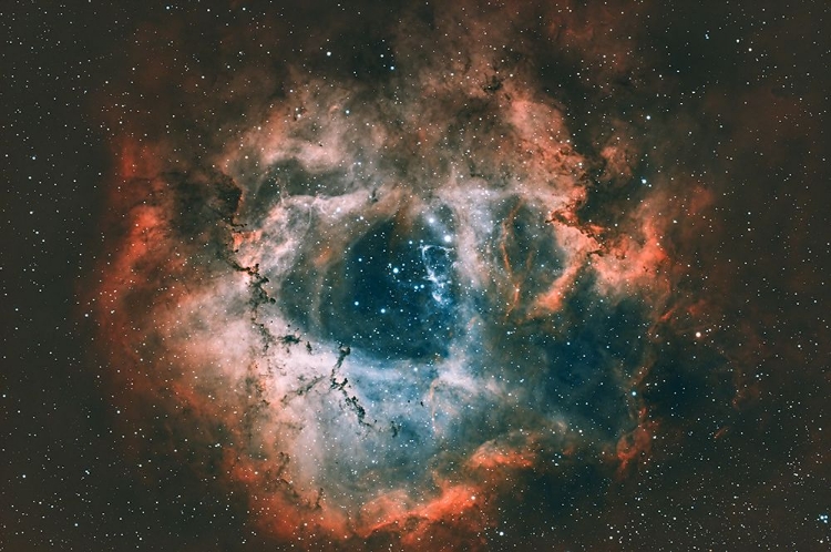 Picture of ROSETTE NEBULA