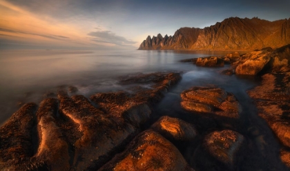 Picture of SENJA