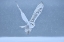 Picture of SNOWY OWL
