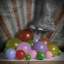 Picture of STILL LIFE 03