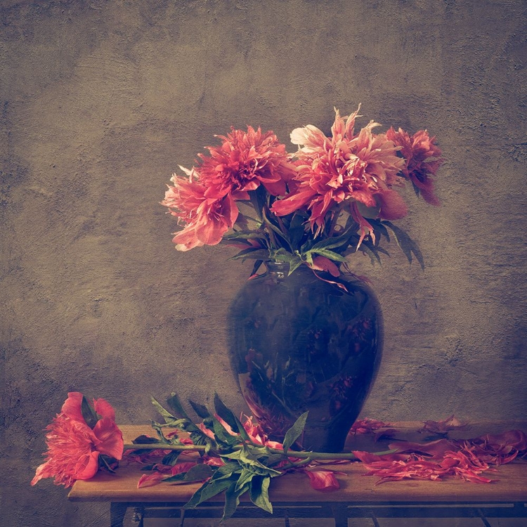 Picture of STILL LIFE PEONY