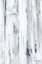 Picture of TEXTURE UNTITLED 1