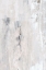 Picture of TEXTURE UNTITLED 2