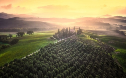 Picture of TUSCANY MORNING