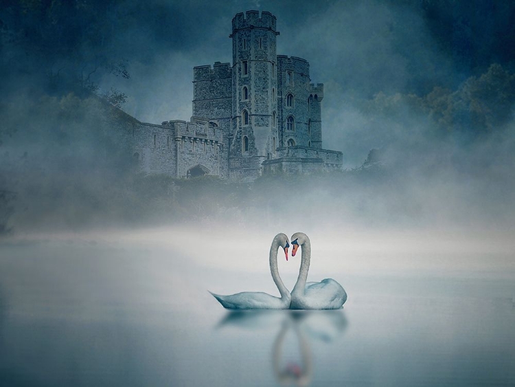 Picture of WINDSOR CASTLE AND SWAN