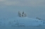 Picture of WINTER WHITE