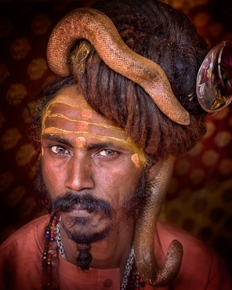 Picture of YOUNG SADHU WITH A SNAKE IN HIS HEAD OF HAIR
