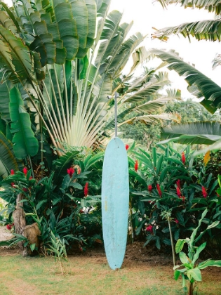 Picture of BLUE SURFBOARD