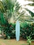 Picture of BLUE SURFBOARD