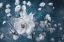 Picture of COLUMBINE