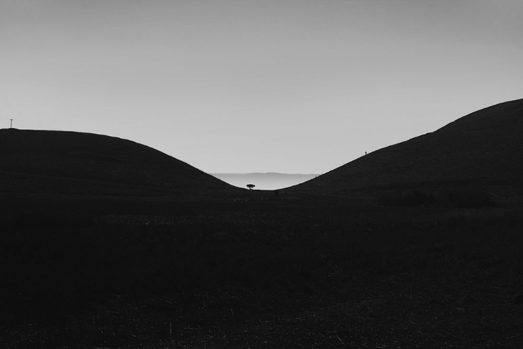 Picture of COYOTE HILLS SUNSET