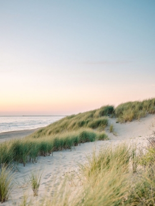 Picture of DUTCH DUNES