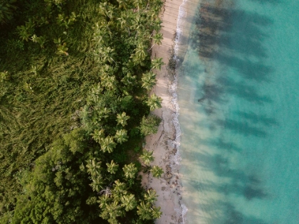 Picture of GREEN BEACH FROM ABOVE 2