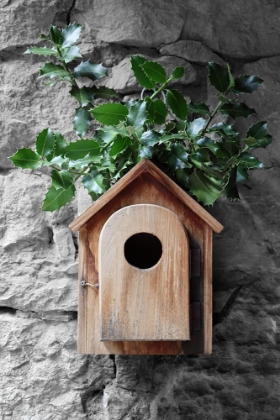 Picture of HOLLY BIRDHOUSE