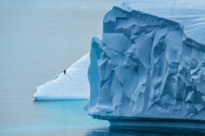 Picture of LOST IN ANTARCTICA