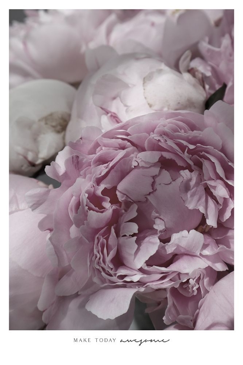 Picture of MAKE TODAY AWESOME PEONIES