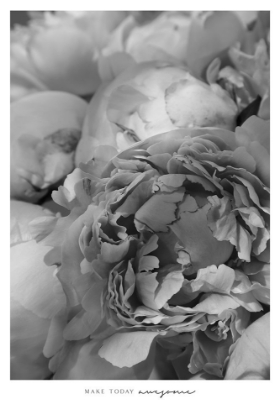 Picture of MAKE TODAY AWESOME PEONIES BW