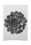 Picture of MARGINED PYRAMIDAL SAXIFRAGE