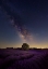 Picture of MILKY WAY DREAMS