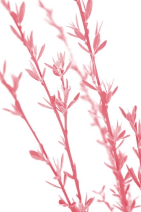 Picture of PINK DAINTY BRANCH