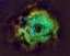 Picture of ROSETTE NEBULA HUBBLE PLATE