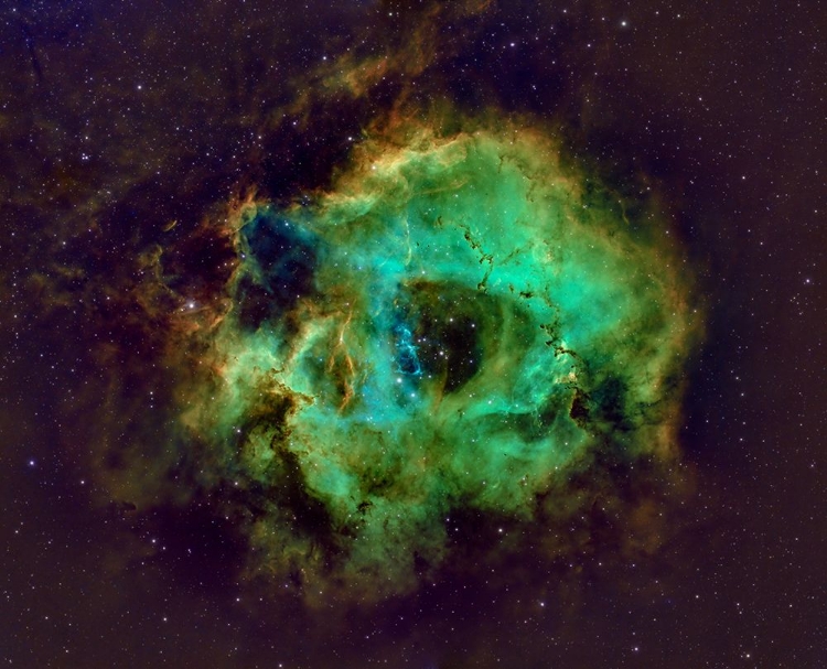 Picture of ROSETTE NEBULA HUBBLE PLATE