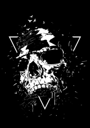 Picture of SKULL X (BW)