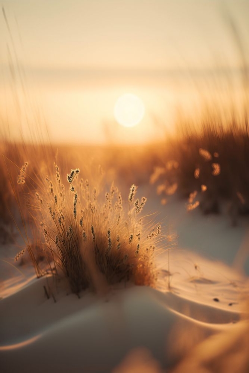 Picture of SUNSET AT THE BEACH