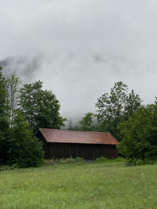 Picture of THE SHED