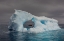 Picture of THE WINDOW OF ANTARCTICA
