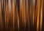 Picture of TREES KISSED BY LIGHT