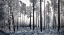 Picture of WINTER PINE TREES II