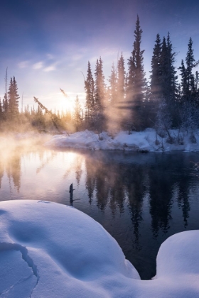 Picture of ALASKAN WINTER