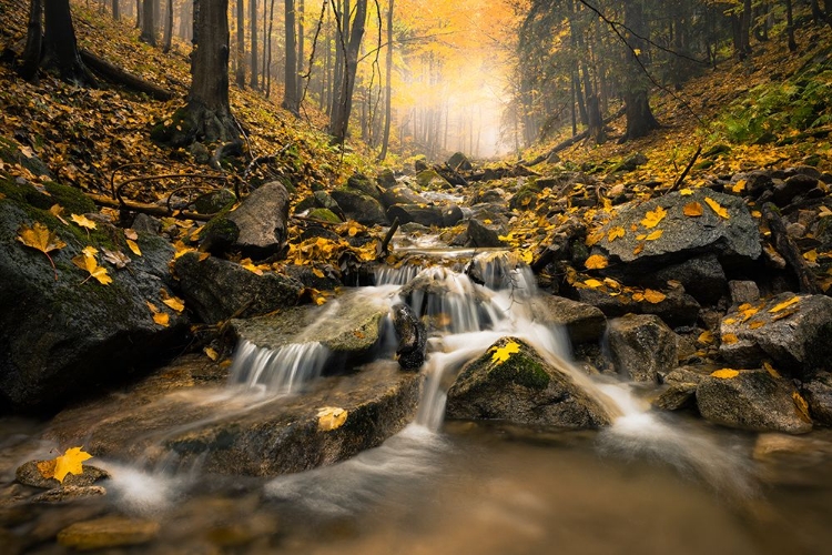 Picture of AUTUM STREAM