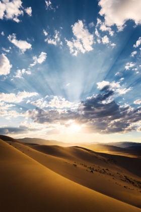 Picture of DESERT RAYS