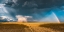 Picture of GOLD AND THUNDER