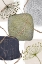 Picture of GREEN-GREY-2